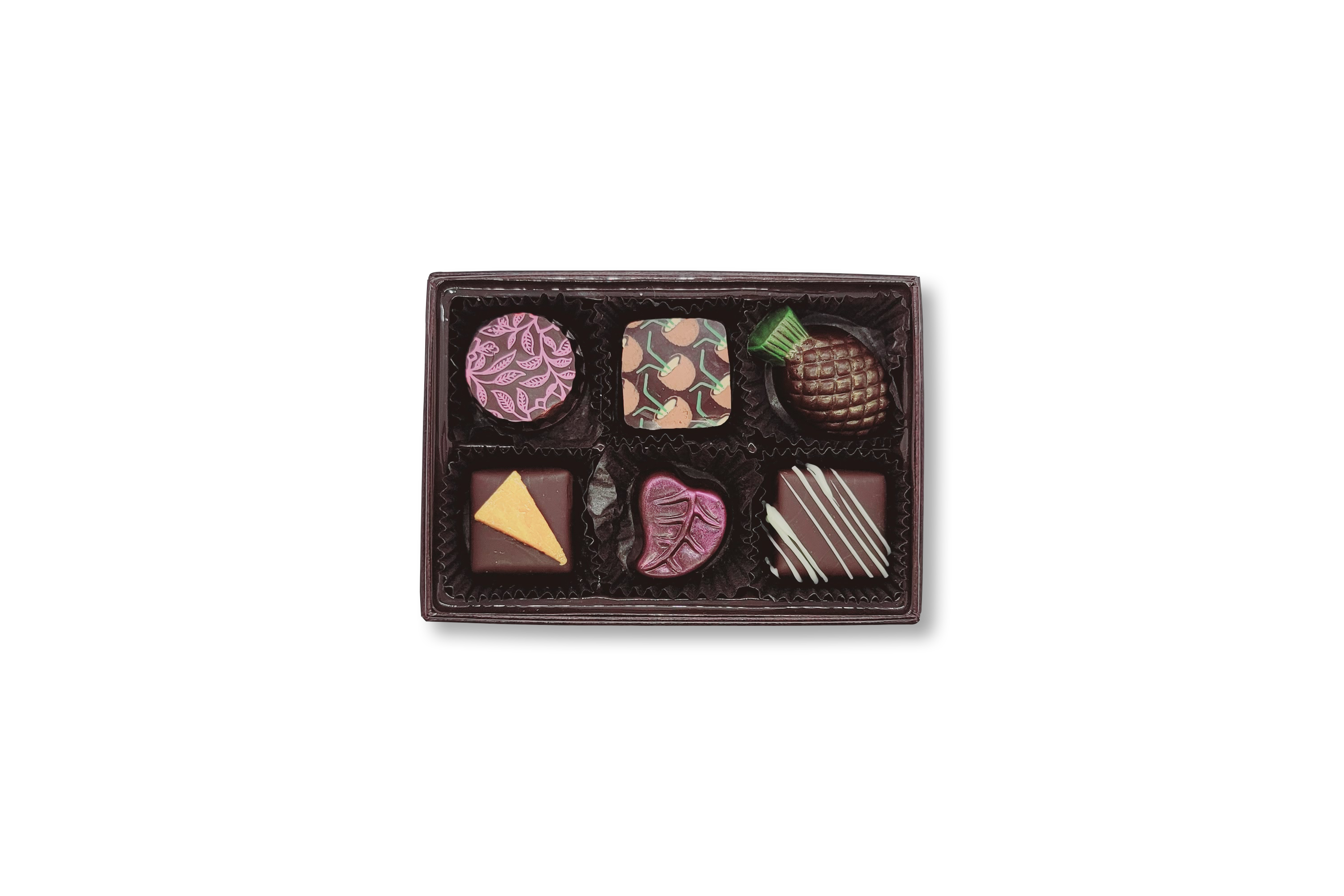 6 pcs Tropical