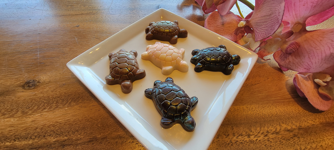 Sweet Paradise Maui Chocolate Turtles 5 pcs