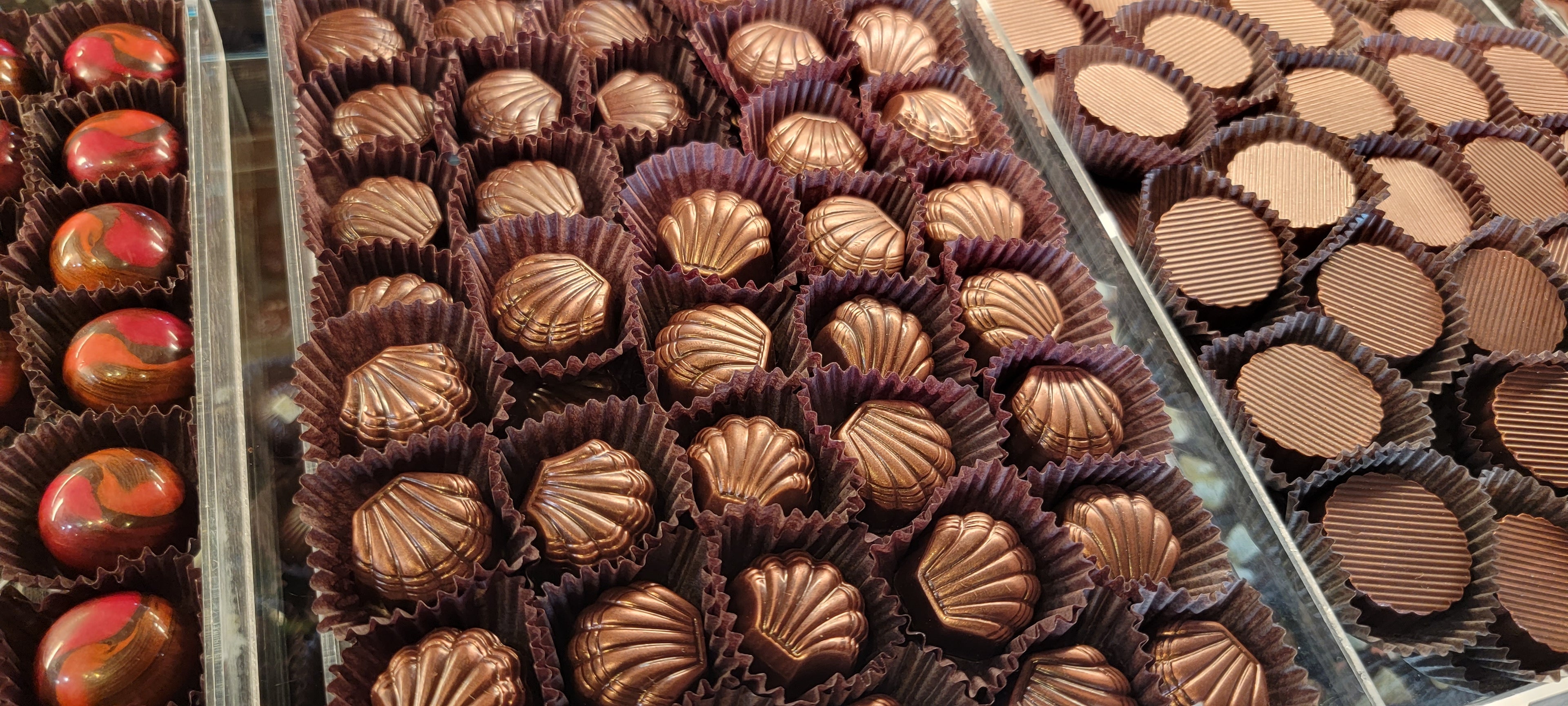 chocolate shells maui