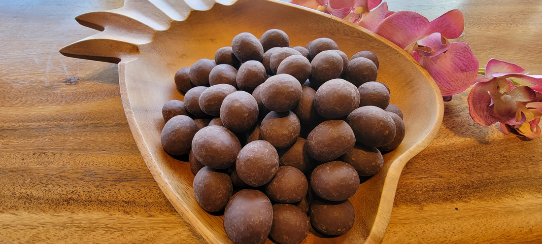 Sweet Paradise Maui Macadamia Nuts Dark Chocolate