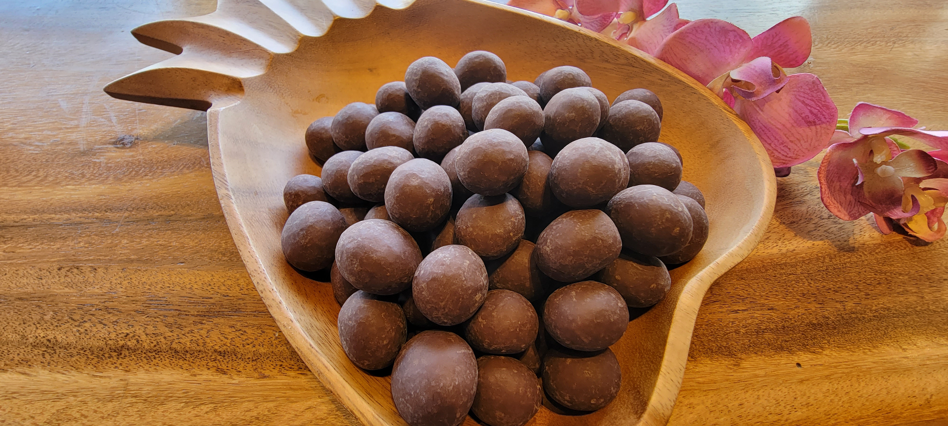 Macadamia Nuts - Dark Chocolate Covered