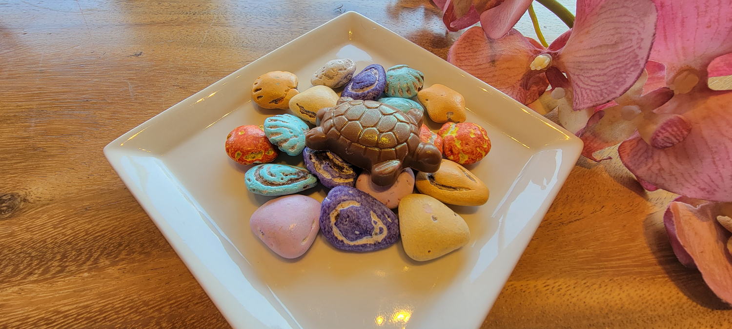 Milk Chocolate Turtle with Candy Shells